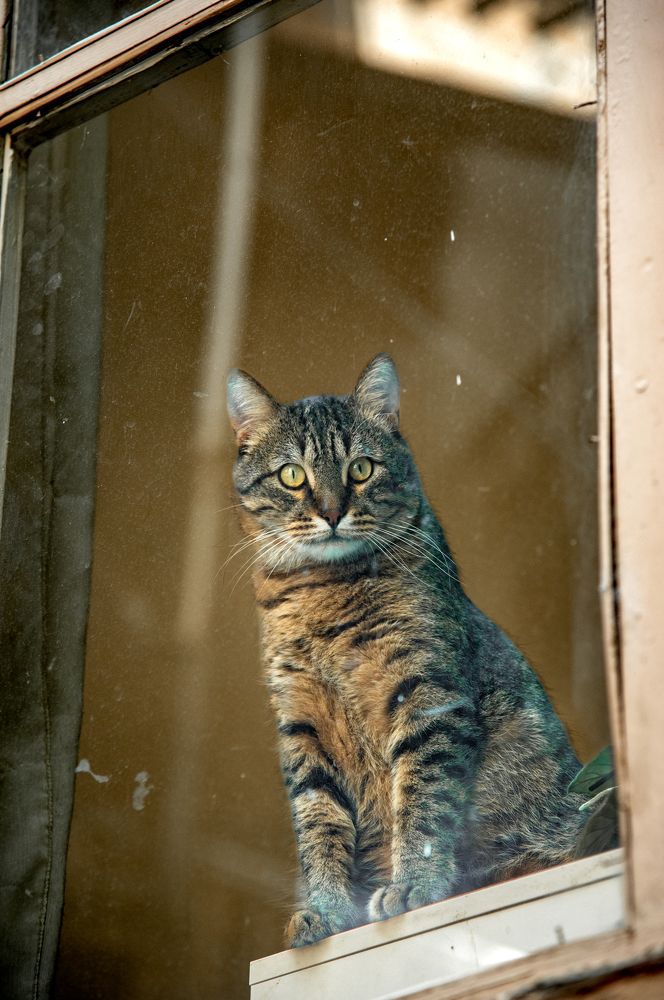 Photograph by Юрий Киреичев