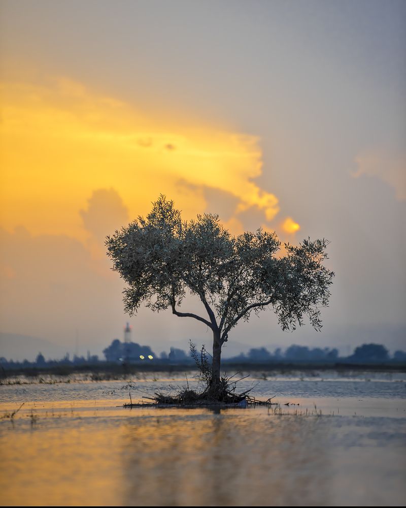 Photograph by Сергей Лексин