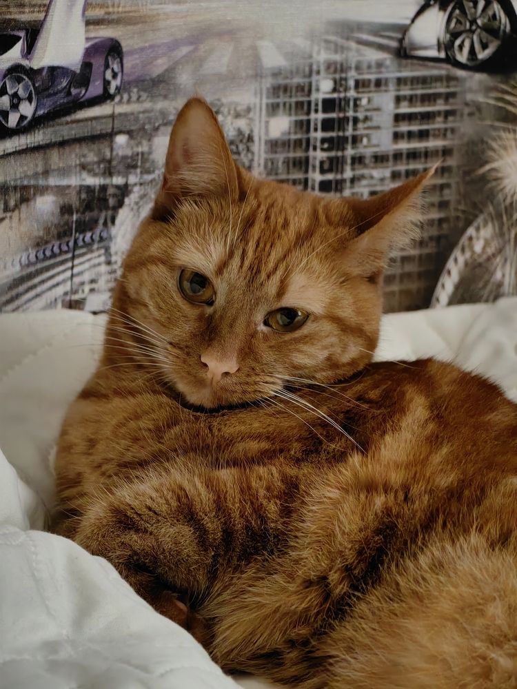 Photograph by Елена Акимова