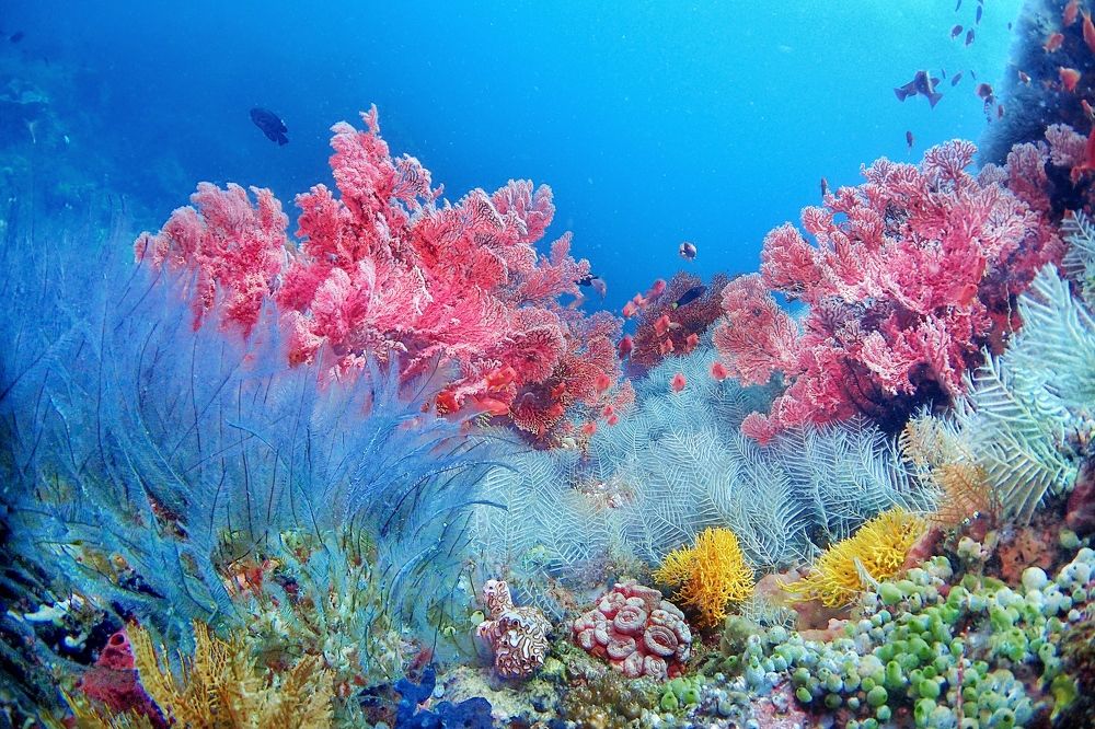 Photograph by Penn De Los Santos