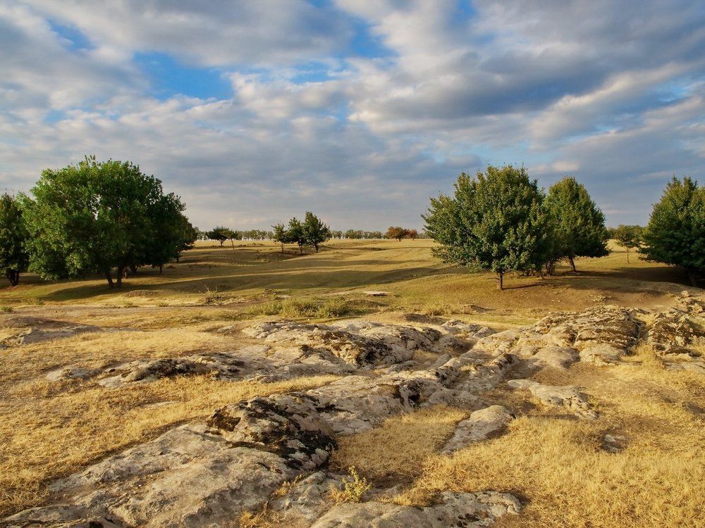 Уж небо осенью дышало...