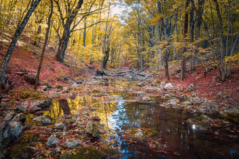 Sergey Bagach, Russia