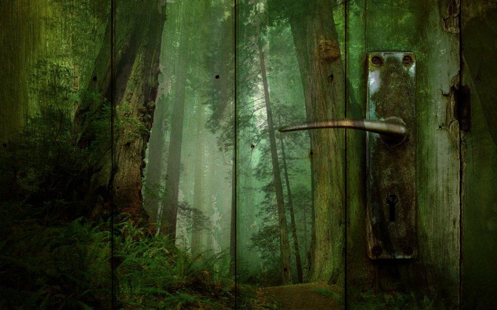 Дверь открытый мир.