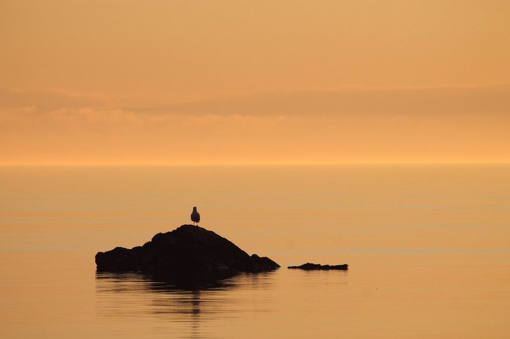 спокойствие