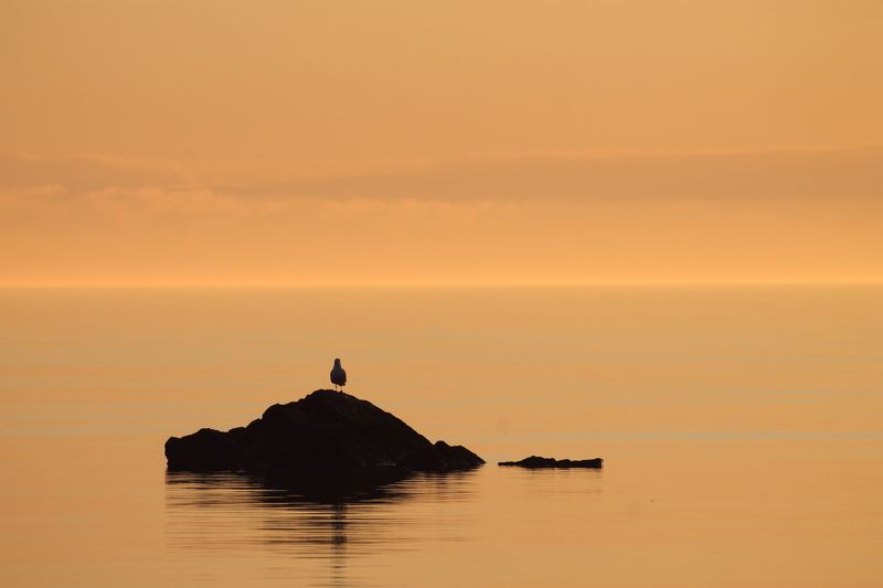 Дмитрий, Estonia