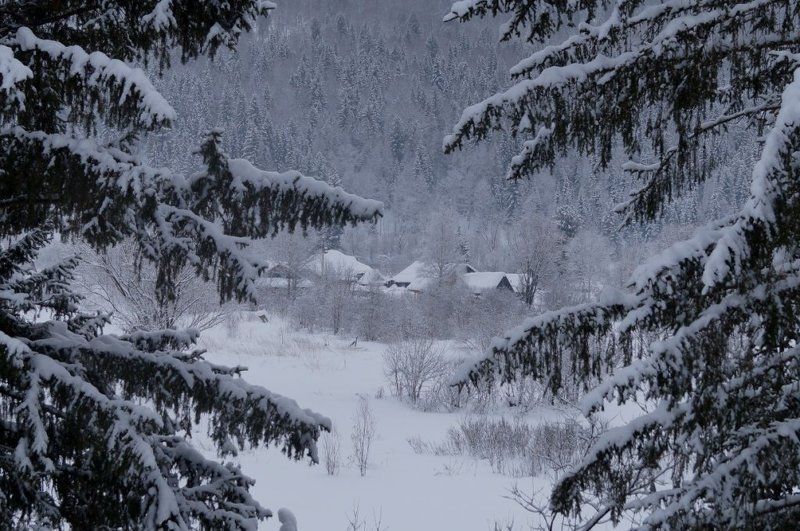 Мысник Вера, Russia