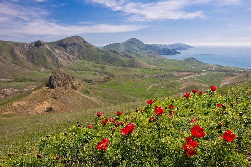 Вячеслава, Russia