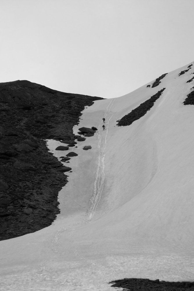 Photograph by Дарья