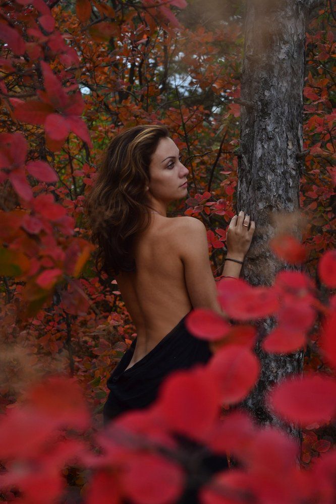 осенняя сказка