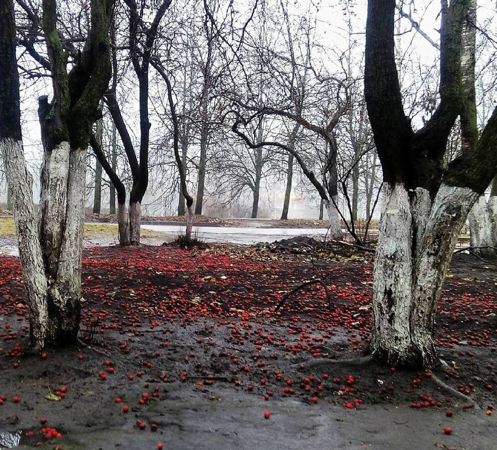 Осенние мгновение