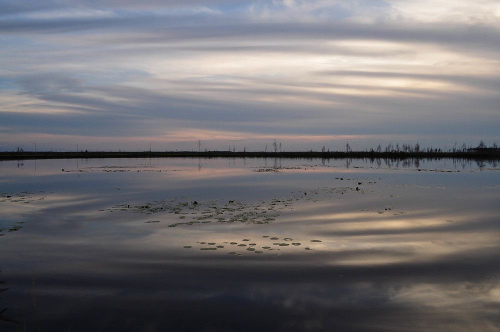 Суровая красота