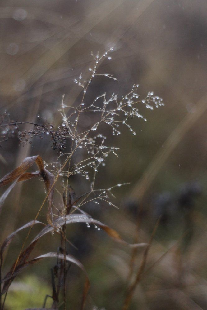 Photograph by Анна Байдо