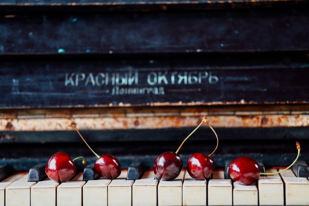 Попробуй музыку на вкус