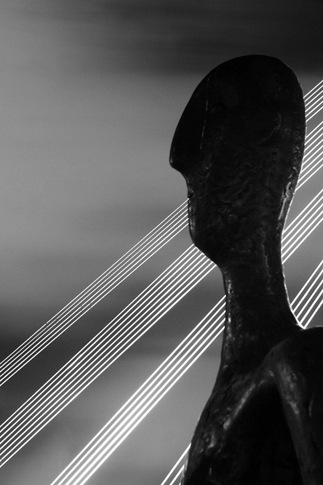 Спокойная как струны жизнь