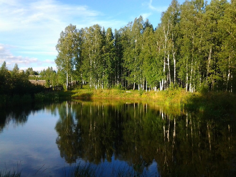 красота природы