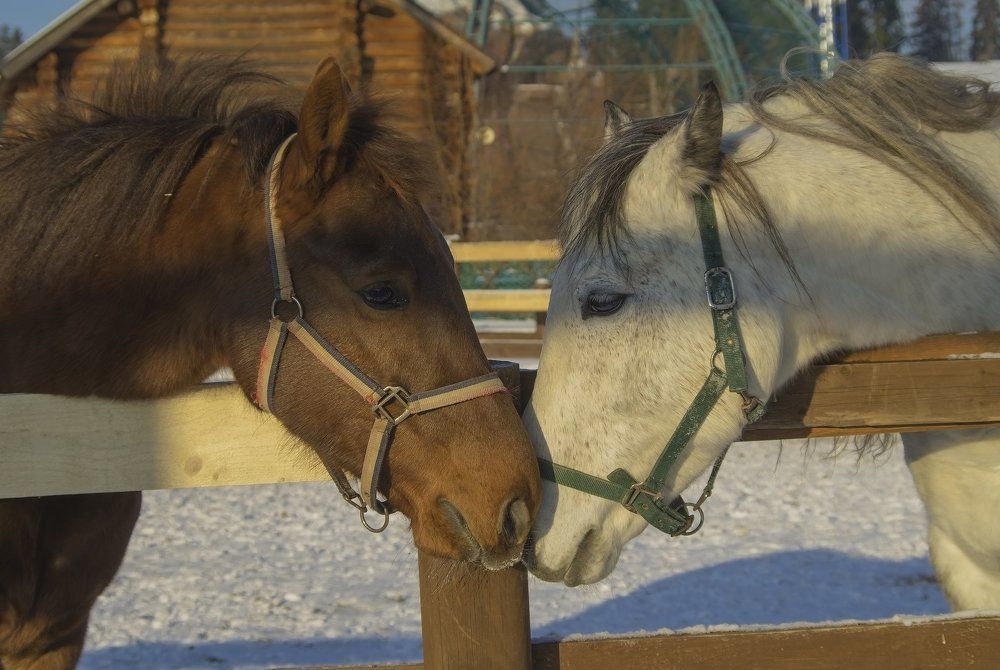 Ну, поговори со мной
