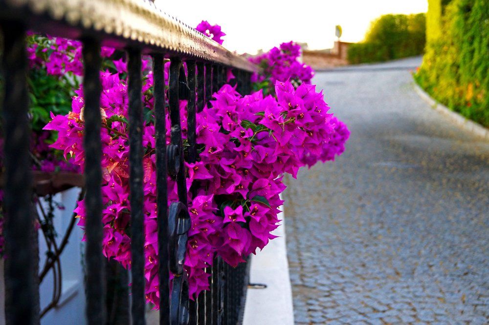 Красоте преграды нипочем!