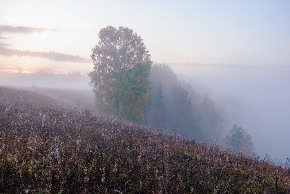 Утро на Немде.