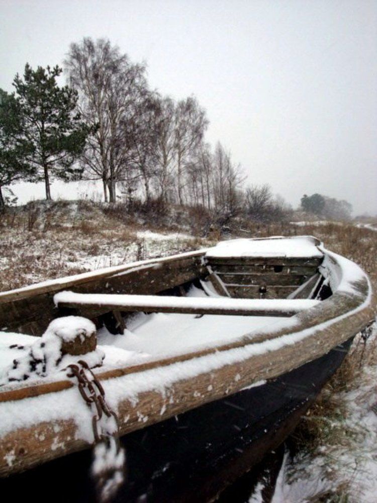 Photo #1073276