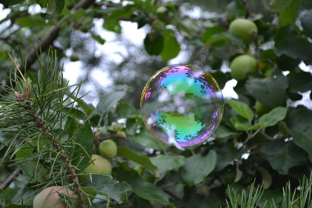 Photograph by Маргарита