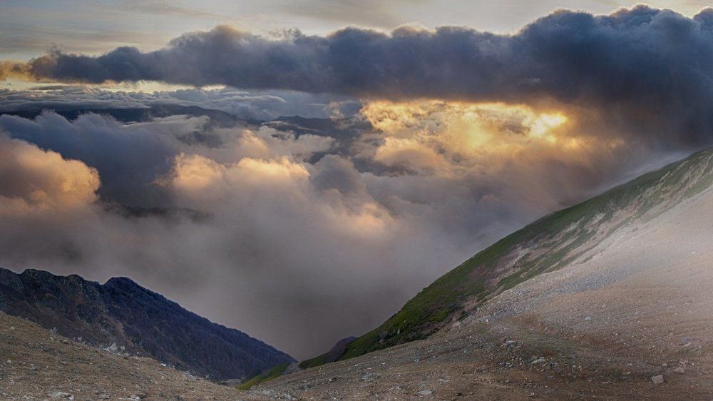 Photograph by Татьяна Карабицина