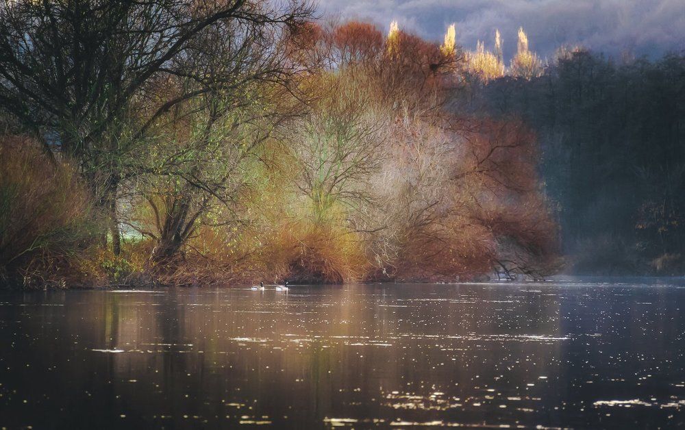 дыханье декабря