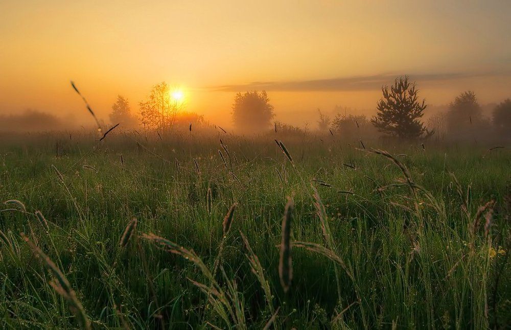 Photograph by Сергей (Bekr)