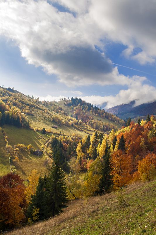 Andrada Nistor, Romania