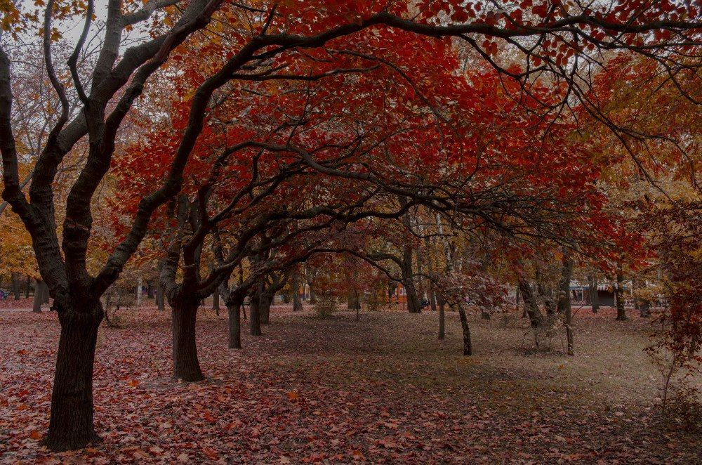 Photograph by Артур