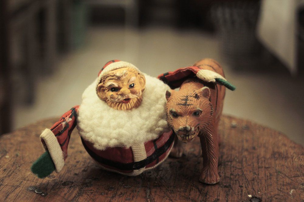 St. Claus and nice tiger