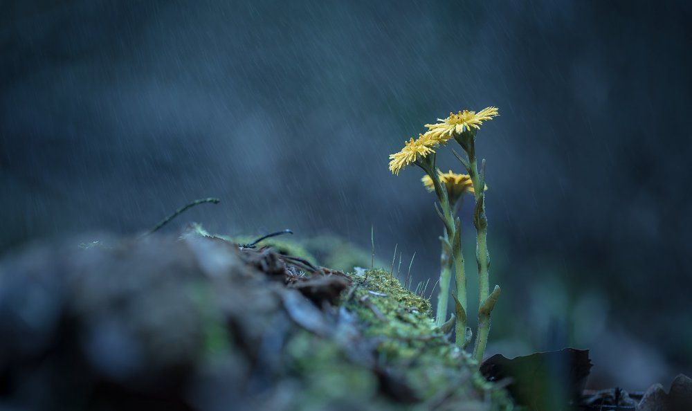 Весна пришла!