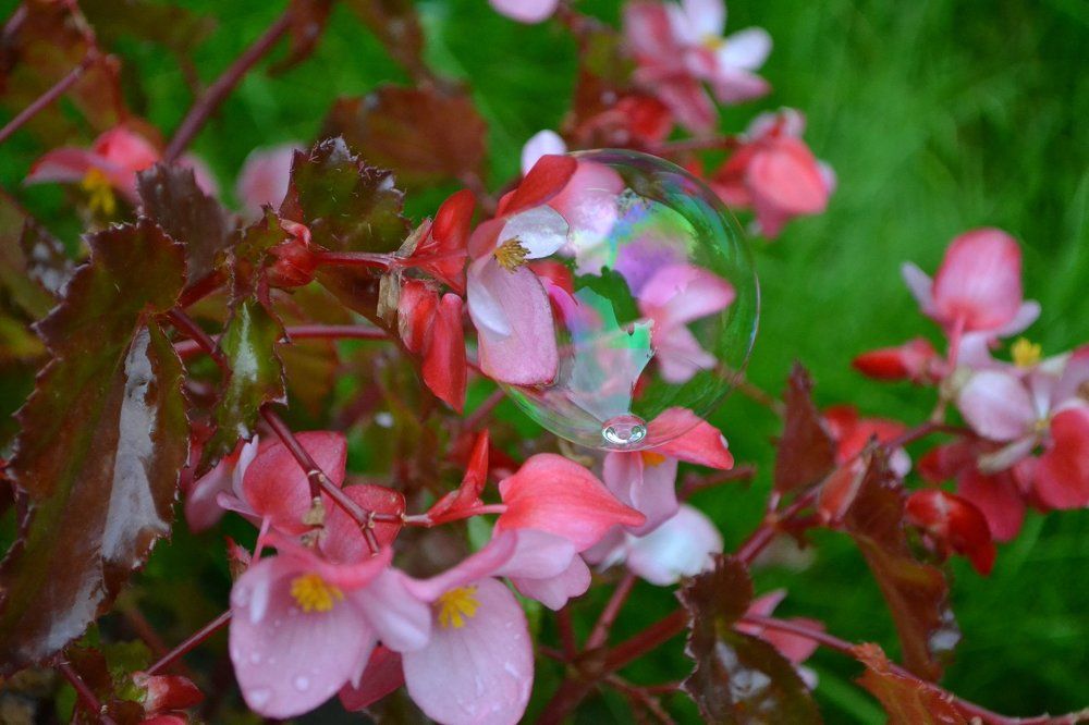 Photograph by Маргарита