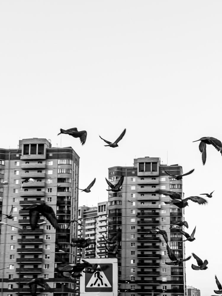 Photograph by Дмитрий Будылин