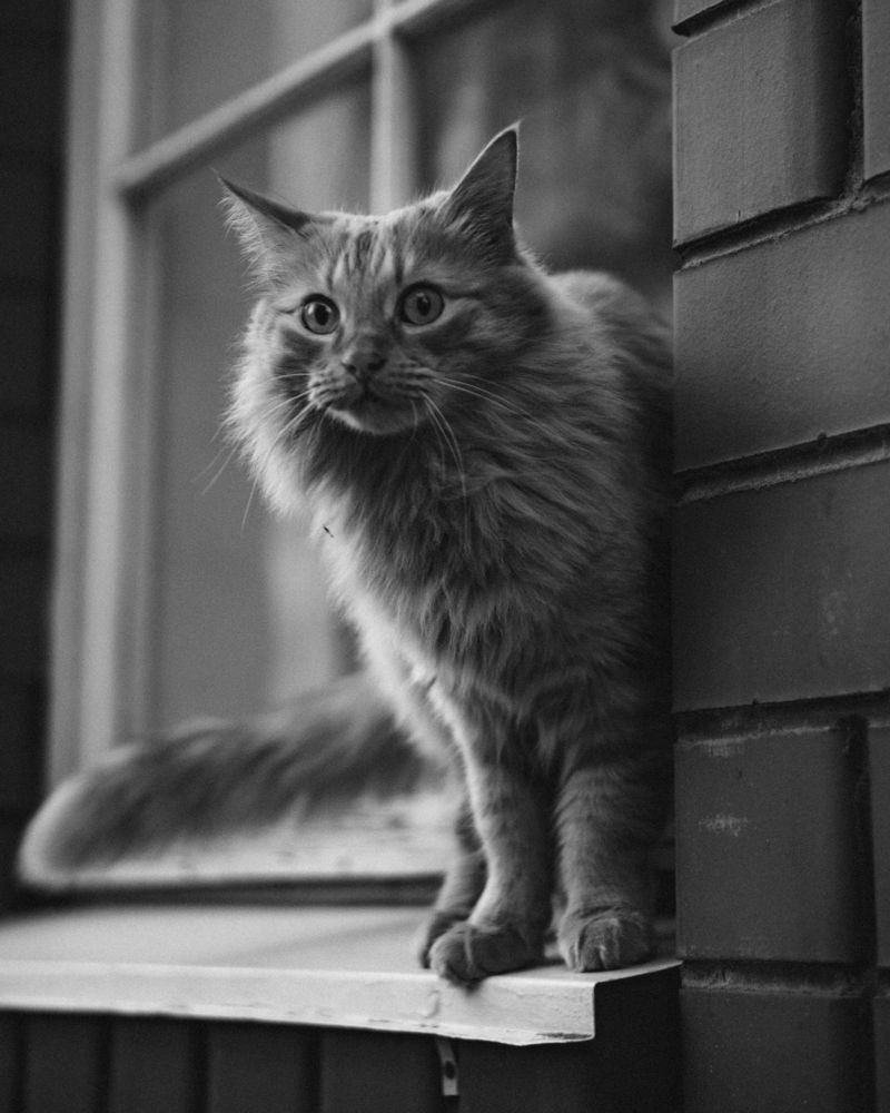 Photograph by Дмитрий Будылин