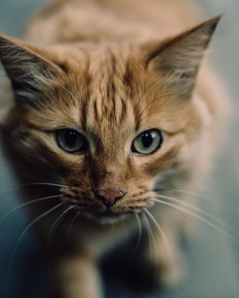 Photograph by Дмитрий Будылин