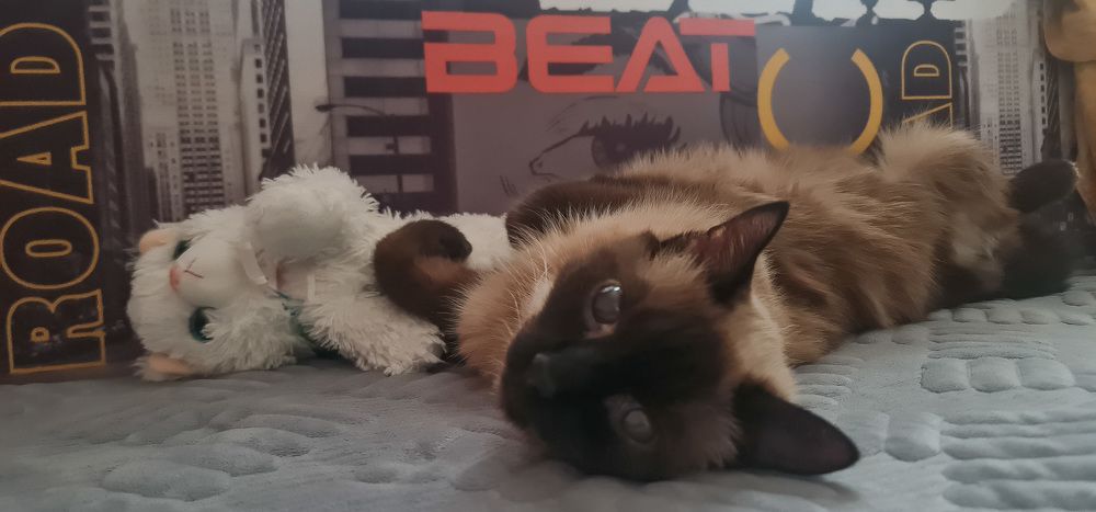 Photograph by Natasha Kim