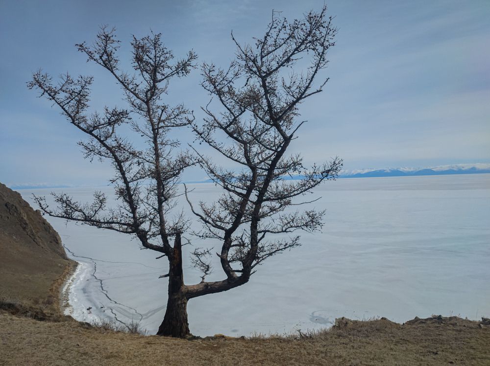 Фотография автора Александр Довганюк