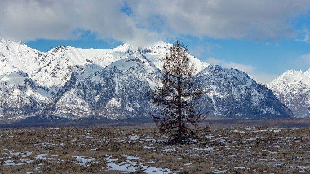Фотография автора Александр Довганюк