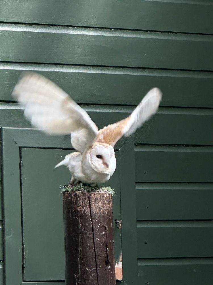 Photograph by Mamta Sofat