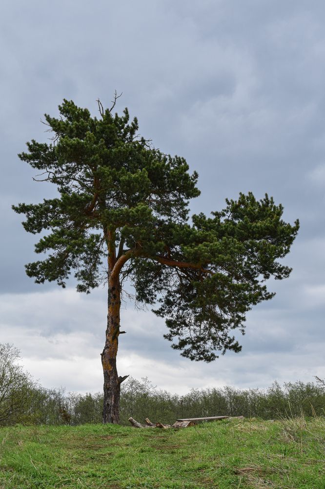 Photograph by Tarasov Alexander