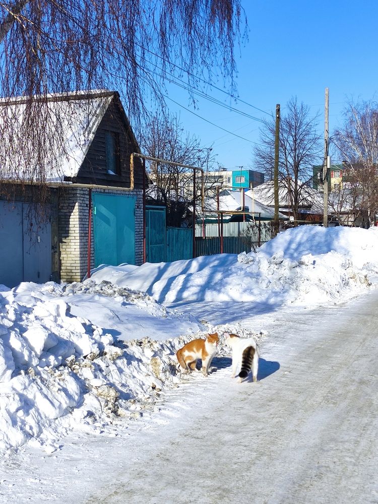 Photograph by Микка