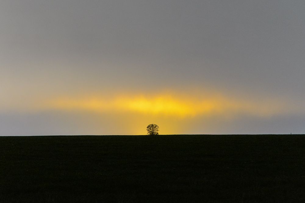 Photograph by Михаил Володин