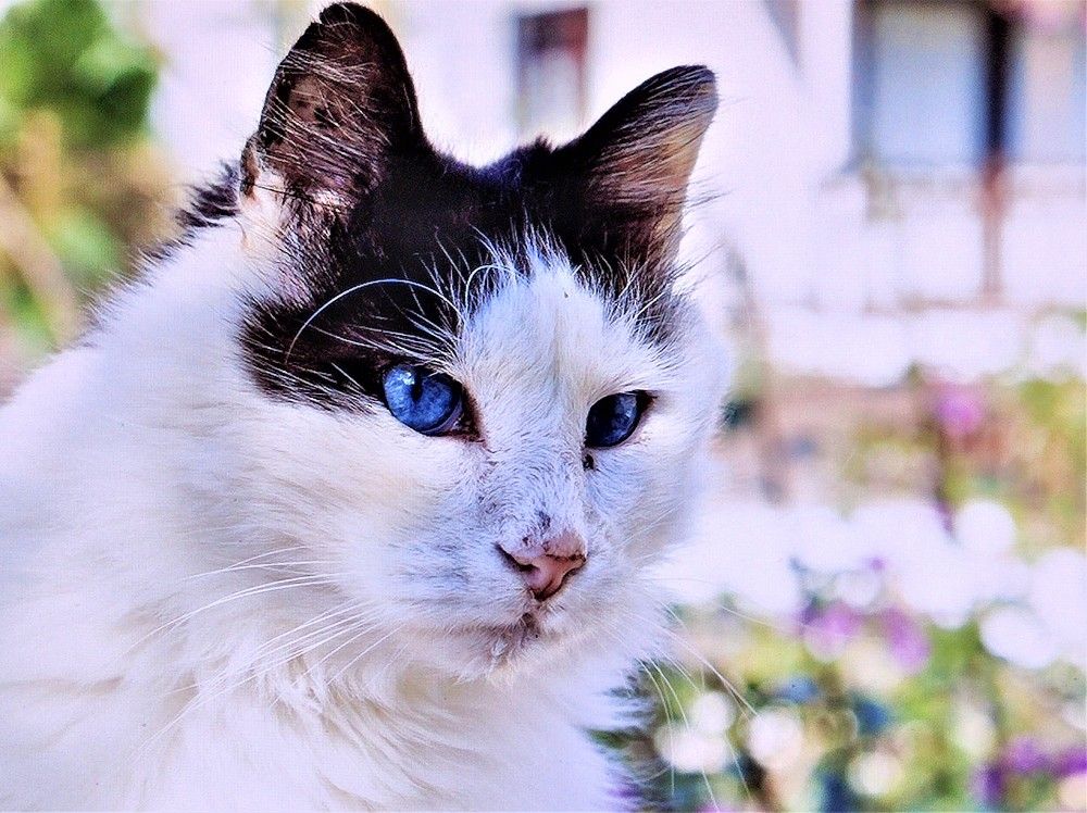 Photograph by Галина