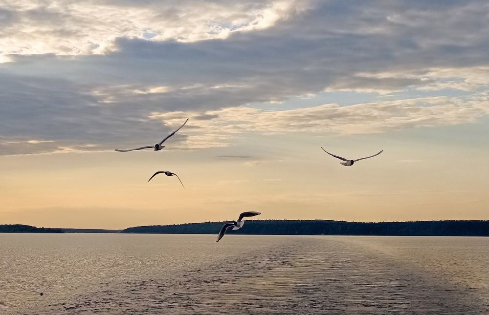 Фотография автора Ольга Кунакова