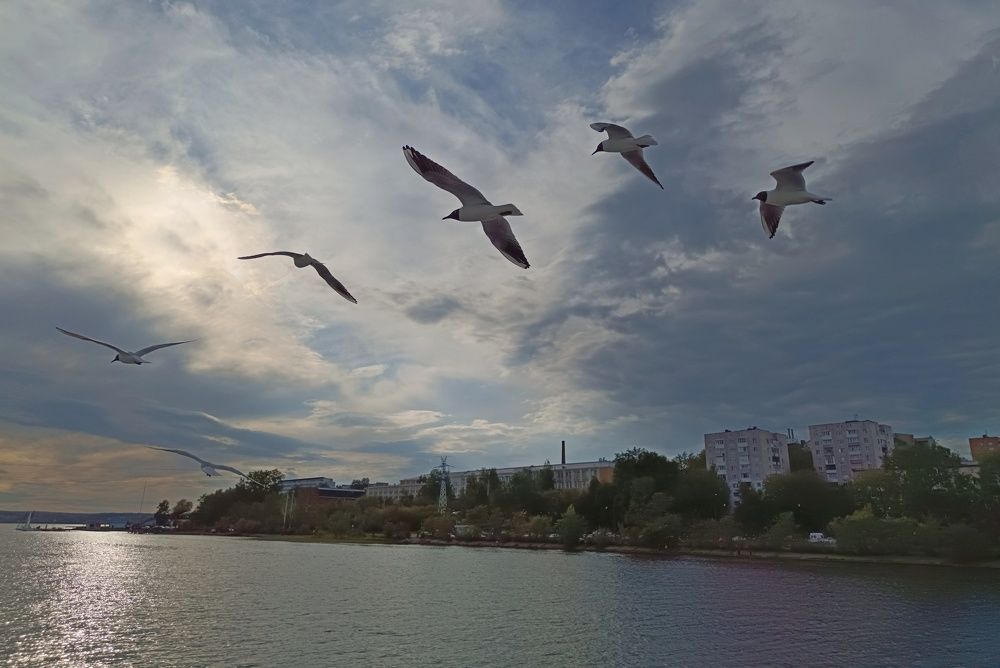 Фотография автора Ольга Кунакова