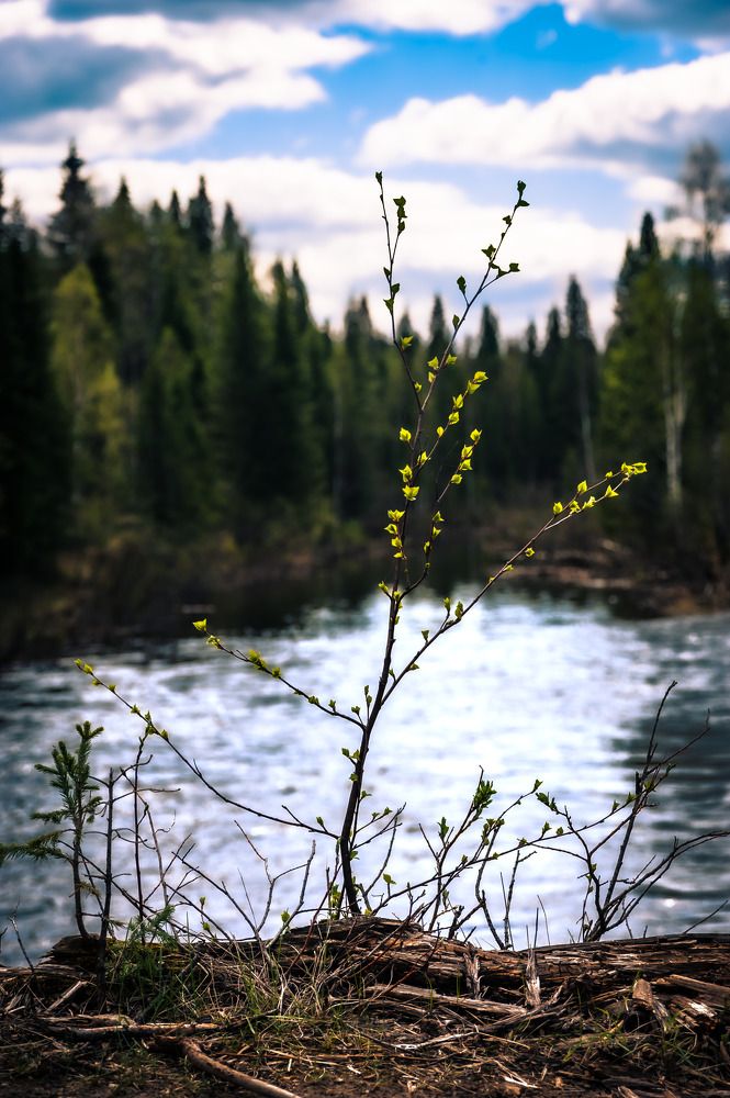 Photograph by Алексей Патрушев