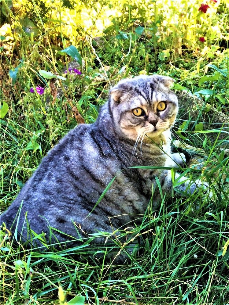 Photograph by Галина