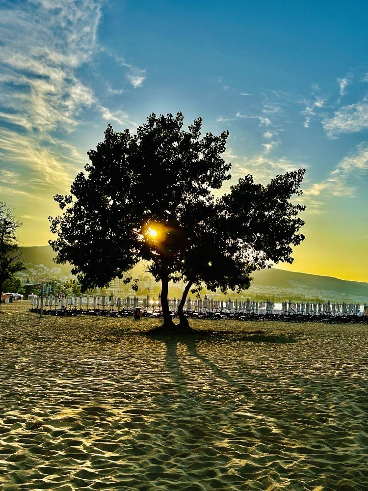 Photograph by Светлана Соколова