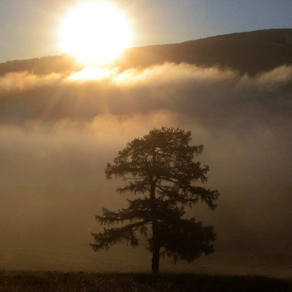 Photograph by Фарит Зиатдинов