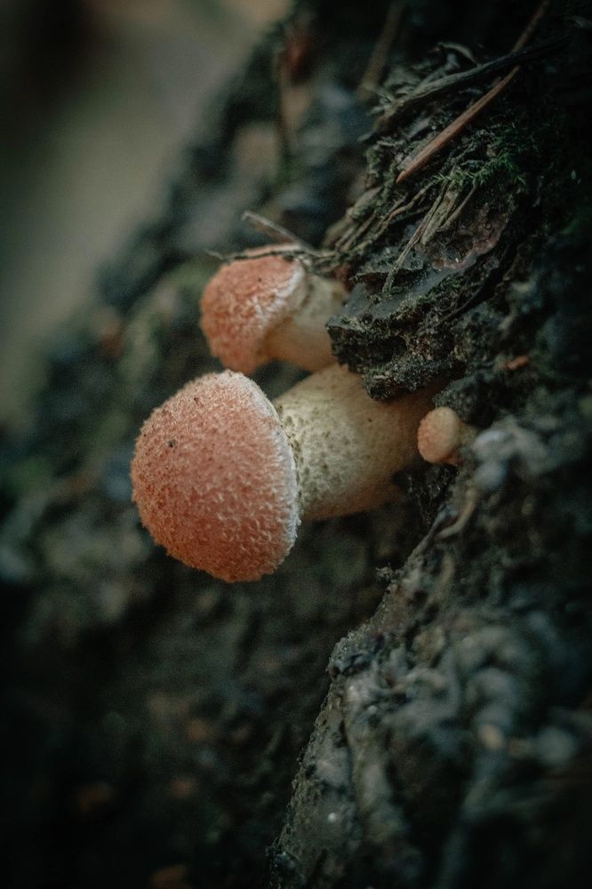 Photograph by Кирилл Гатин